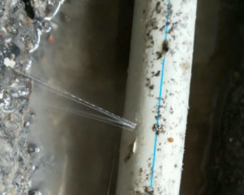 安陆卫生间测漏水多少钱