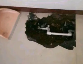 安陆卫生间测漏水多少钱